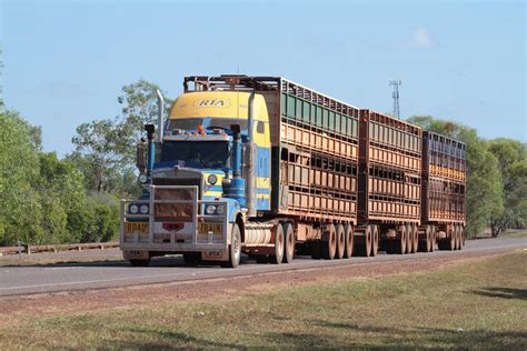 Rta Cattle Roadtrain Truck Stuart Highway South Of Darwin Northern
