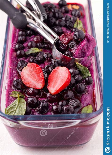 Frozen Fruit Puree From Sorbet Berries Stock Image Image Of Dish