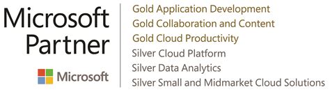 Microsoft Gold Partner Dmc Inc