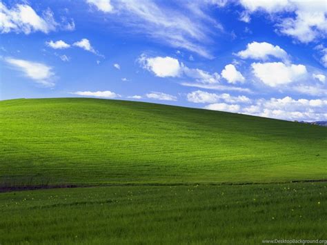 Gallery For Funny Windows Xp Bliss Wallpapers Desktop