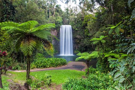 Millaa Millaa Falls In Tropical North Queensland Australia Chapter