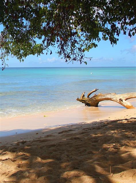 a tranquil day at six men s bay on the north west coast of barbados barbados beaches