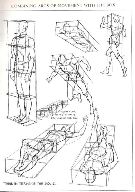 Perspective Drawing Lessons Human Figure Drawing Figure Drawing Reference