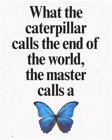 Metamorphosis Quotes Pretty Words Quotes And Notes