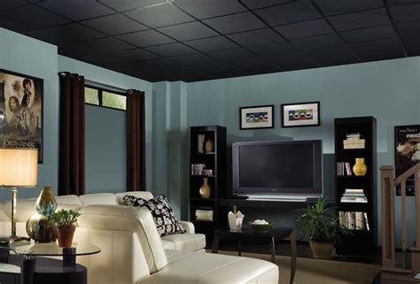 Paint ceiling tiles, whether the tin vintage style or the acoustic tiles used in drop ceilings, to give them a fresh new look. Fine Fissured HomeStyle Ceilings Texturizada Negro 2' x 2 ...