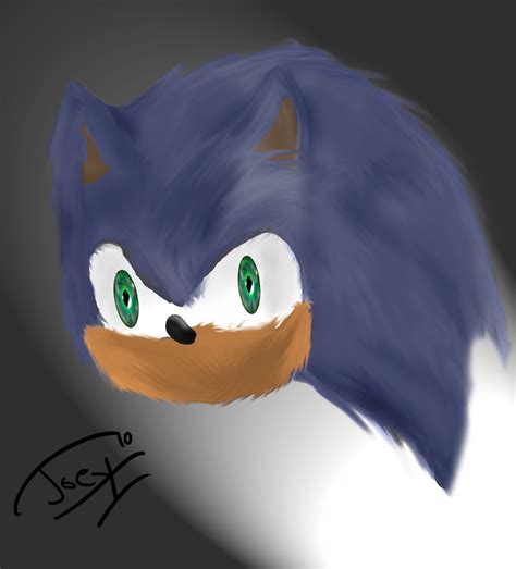 Real Life Sonic By Joeythehedgehog On Deviantart