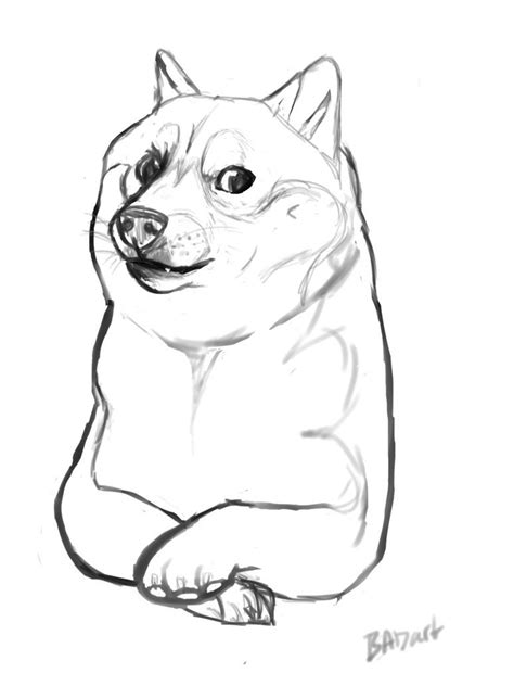 Download Or Print This Amazing Coloring Page Doge Drawing At