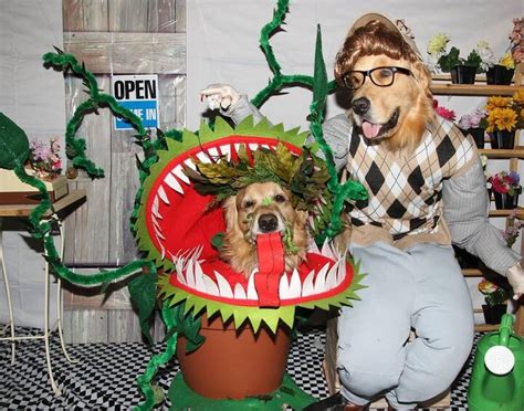Winners Of Our Halloween Howl Dog Costume Contest Petguide
