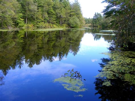 Forge Pond Is Most Unique Body Of Water In Massachusetts