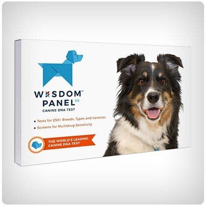 It is always safe, easy and unintrusive to provide your sample. Wisdom Panel Breed Identification DNA Test Kit | Dog dna ...