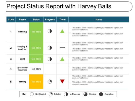 Project Status Report Powerpoint Template Images And Photos Finder
