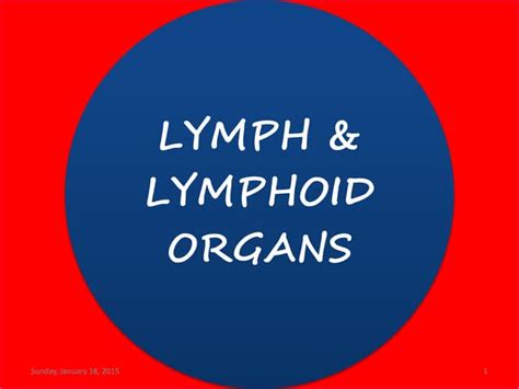 Chapter 6 Lymph Lymph Node And Lymphocyte Ppt
