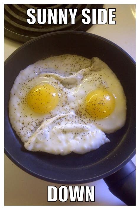 Grumpy Egg Very Funny Images Bones Funny Funny Images