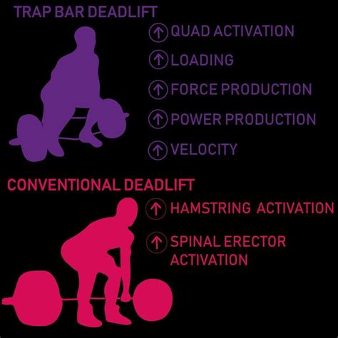 4 Deadlift Variations To Achieve A Banging Body In