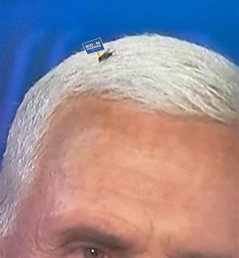 Close Up Of The Fly On Pence S Head Democratic Underground