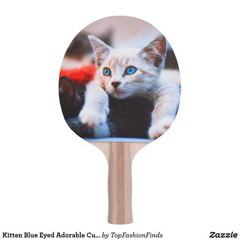 Kitten Blue Eyed Adorable Cute Cat Ping Pong Paddle Cute