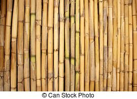 Photo De Stock De Sec Bambou Tiges Dry Tiges De Bambou Blanc