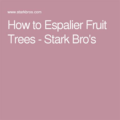 How To Espalier Fruit Trees Espalier Fruit Trees Fruit Trees Tree