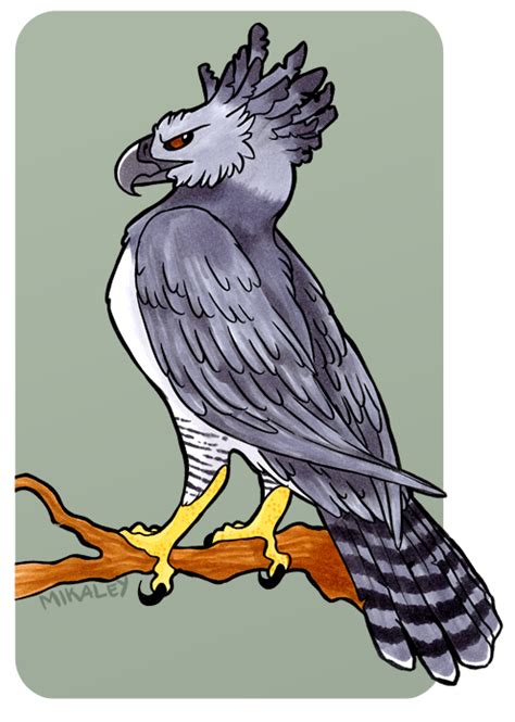 Just An Ordinary Harpy Eagle By Mikaley On Deviantart