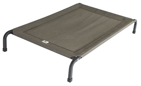 Choosing A Raised Dog Bed A Review Of The Best Elevated
