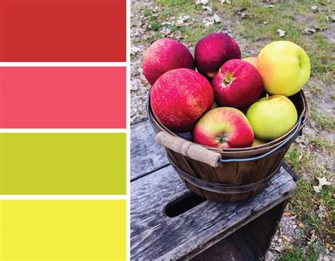 Color Inspiration Apple Orchard Color Palette Merriment Design
