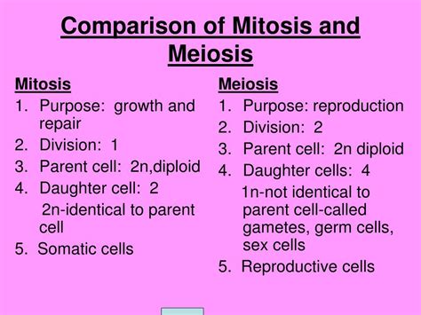 Ppt Comparison Of Mitosis And Meiosis Powerpoint Presentation Free
