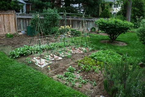 Vegetable Gardening Tips Starting Backyard Vegetable Gardening In Your