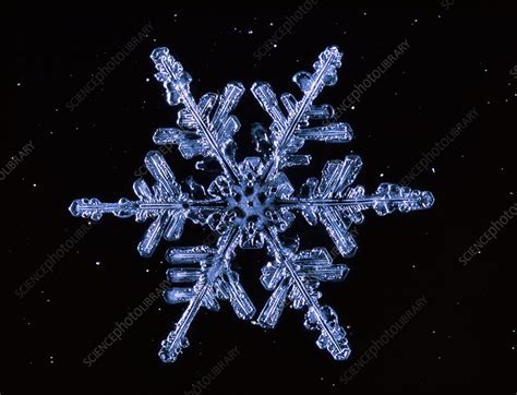 Snowflake Stock Image E1270081 Science Photo Library