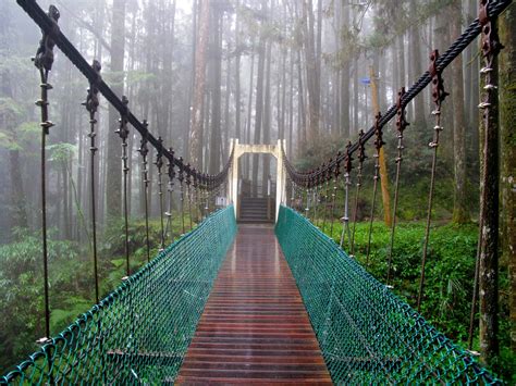 Visiting Alishan National Park In Taiwan Indefinite Adventure