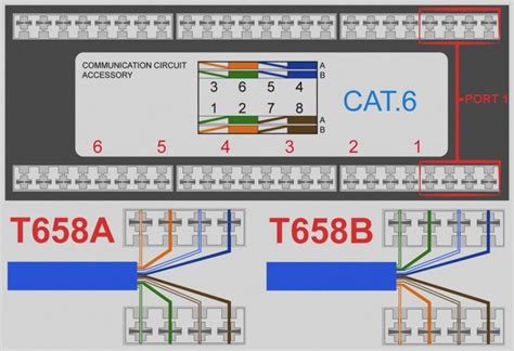 Cat5 B Wiring Diagram Printable Wiring Diagram Cat5e Wiring Diagram