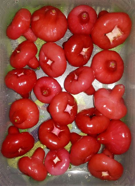 Kiwi fruit பசலிப்பழம் कीवी फल. Jambu (Roseapple Fruits).