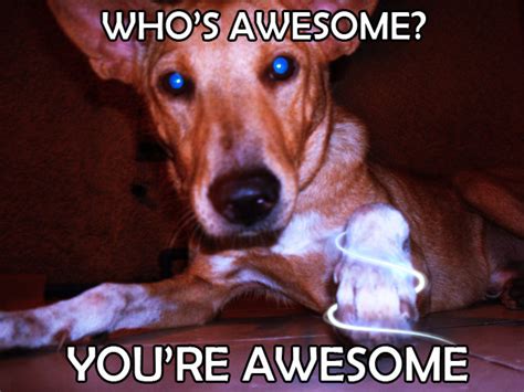 Image 65412 Whos Awesome Youre Awesome Sos Groso Sabelo