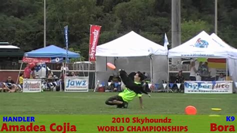 Amadea Cojia And Bora Skyhoundz World Championships 9252010 Disc