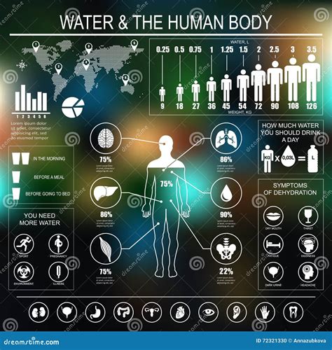 Water And Human Body Infographic On Dark Background Stock Vector