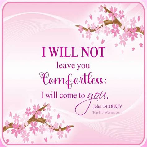 John 1418 Bible Quotes Dp I Will Not Leave You Comfortless