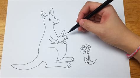 How To Draw A Kangaroo Easy Draw Tutorial Youtube
