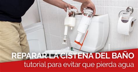 Cómo Reparar La Cisterna Del Baño Cuando Pierde Agua Nocte
