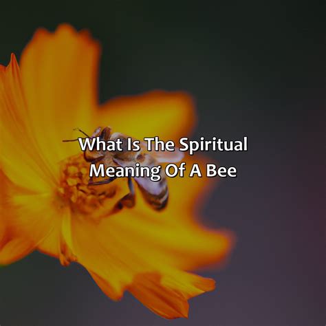 What Is The Spiritual Meaning Of A Bee | Relax Like A Boss