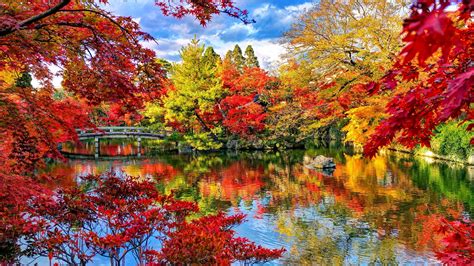 Colorful Autumn Leafed Trees Reflection On Calm Lake Park Bridge Above