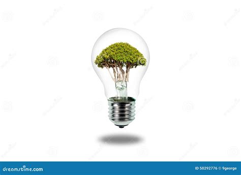 The Tree Inside Of The Light Bulb Isolated On White Stock Photo Image