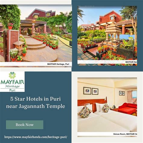 5 Star Hotels In Puri Near Jagannath Temple By Mayfair On Dribbble