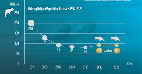 Event Boosts Awareness Of Plight Of Irrawaddy Dolphin Phnom Penh Post