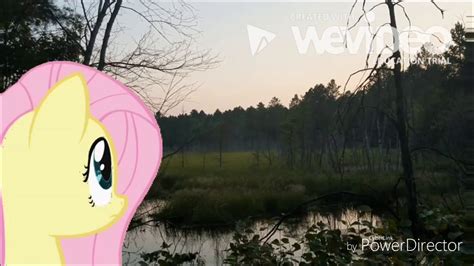 Fluttershy S New Home Mlp In Real Life Youtube