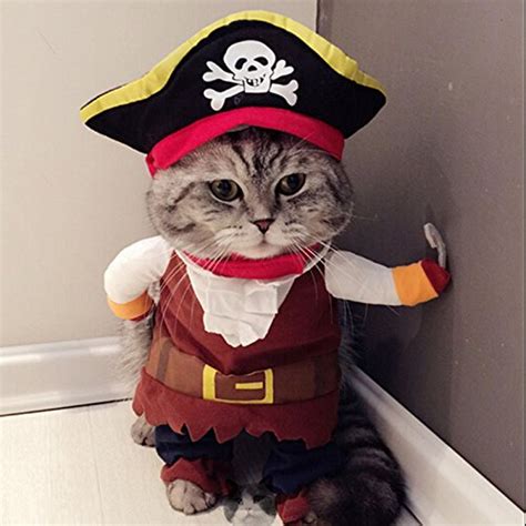 25 Cat Costumes For Halloween Budget Earth