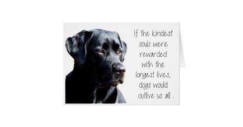 Black Lab Sympathy Card Dog Sympathy Pet Loss Zazzle