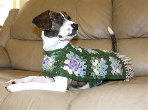Granny Square Dog Sweater How Dog Sweater Crochet Pattern Diy Dog