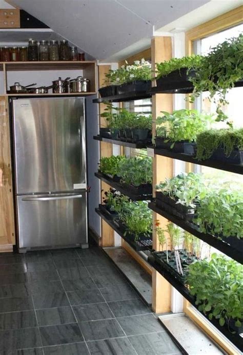 20 Gorgeous Indoor Garden Ideas For Beginner In Small Space In 2020