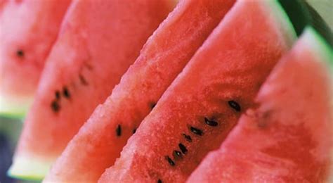A Summer Sensation Vodka Watermelon Slices