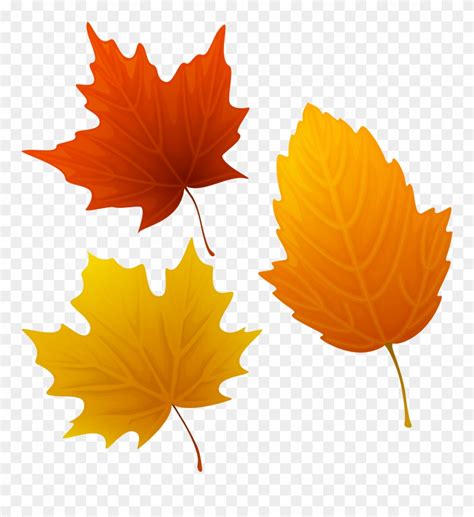 Fall Leaves Clipart Maple Leaves Autumn Leaves Fall Leaves Clipart