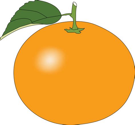 Orange Clip Art And Look At Clip Art Images Clipartlook